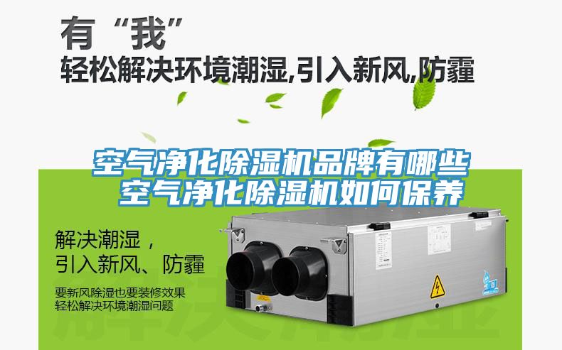 空气净化除湿机品牌有哪些 空气净化除湿机如何保养