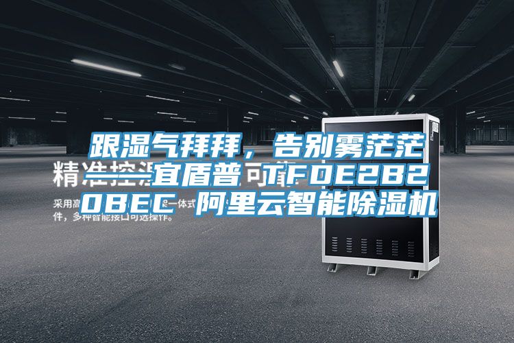 跟湿气拜拜，告别雾茫茫——宜盾普 TFDE2B20BEC 阿里云智能除湿机