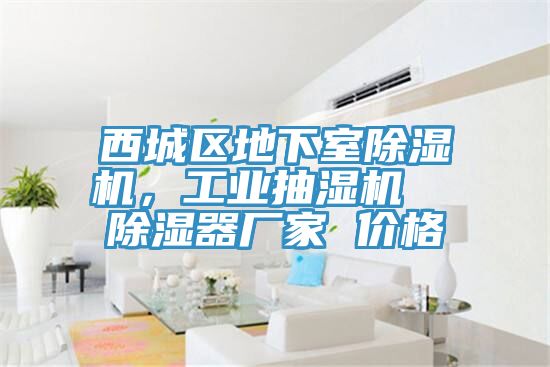 西城区地下室除湿机，工业抽湿机  除湿器厂家 价格