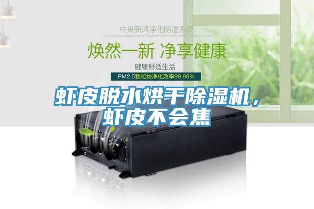 虾皮脱水烘干除湿机，虾皮不会焦