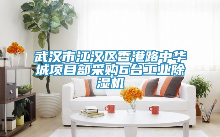 武汉市江汉区香港路中华城项目部采购6台工业除湿机