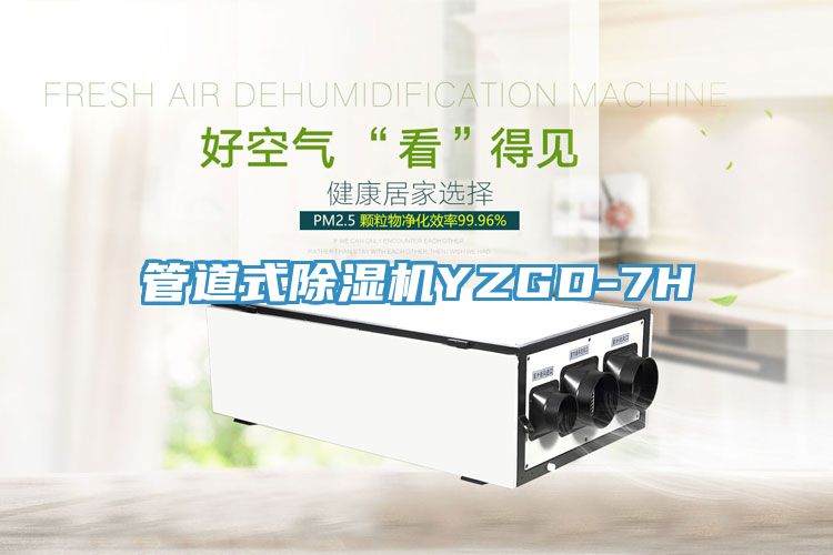 管道式除湿机YZGD-7H