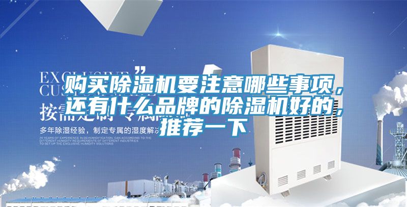 购买除湿机要注意哪些事项，还有什么品牌的除湿机好的，推荐一下