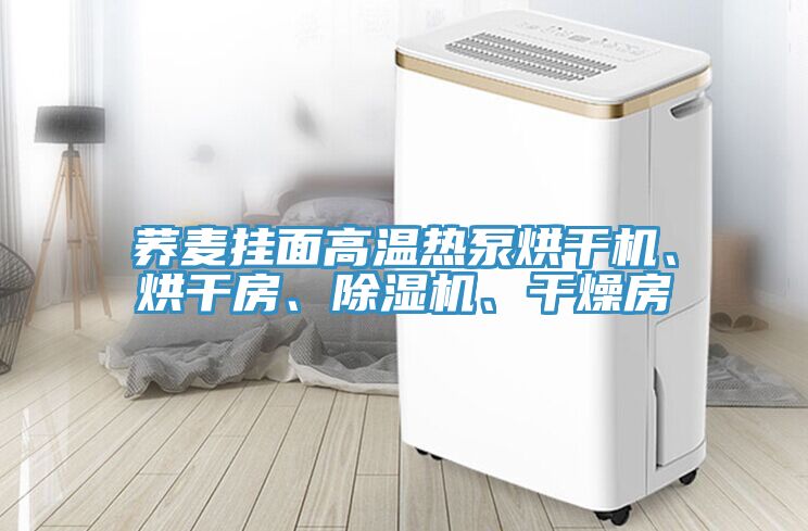 荞麦挂面高温热泵烘干机、烘干房、除湿机、干燥房