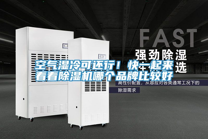 空气湿冷可还行！快一起来看看除湿机哪个品牌比较好