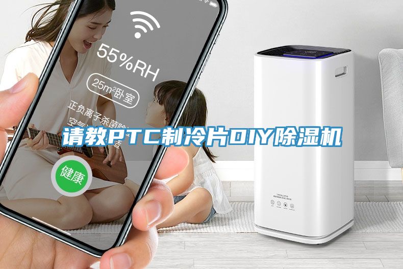 请教PTC制冷片DIY除湿机