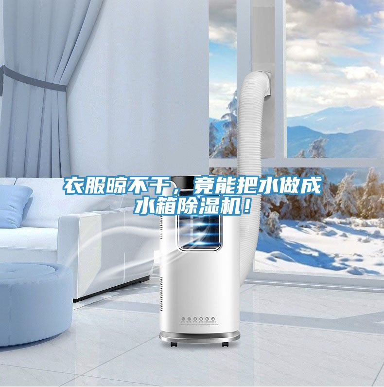 衣服晾不干，竟能把水做成水箱除湿机！