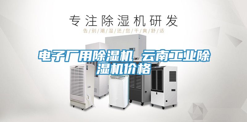 电子厂用除湿机 云南工业除湿机价格