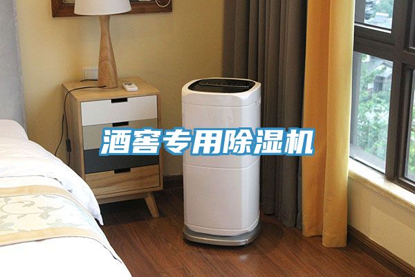 酒窖专用除湿机
