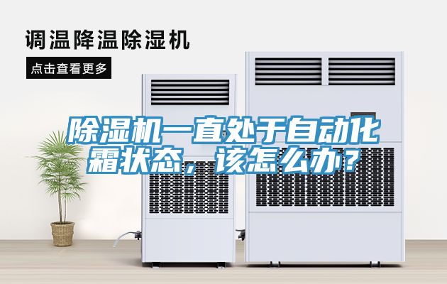 除湿机一直处于自动化霜状态，该怎么办？