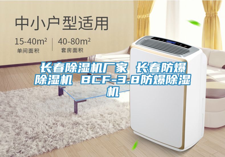 长春除湿机厂家 长春防爆除湿机 BCF-3.8防爆除湿机