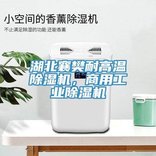 湖北襄樊耐高温除湿机，商用工业除湿机