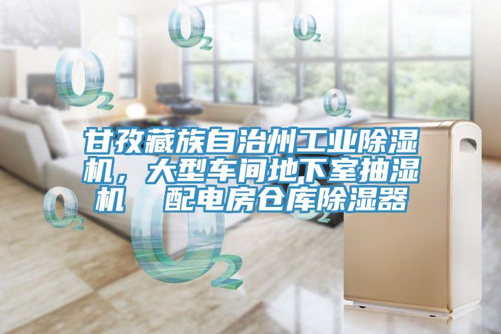 甘孜藏族自治州工业除湿机，大型车间地下室抽湿机  配电房仓库除湿器