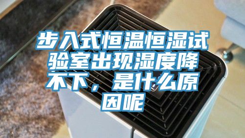 步入式恒温恒湿试验室出现湿度降不下，是什么原因呢
