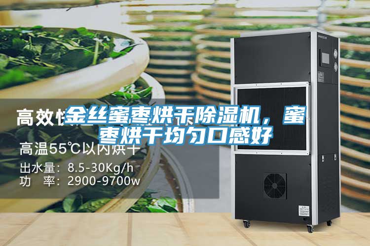 金丝蜜枣烘干除湿机，蜜枣烘干均匀口感好