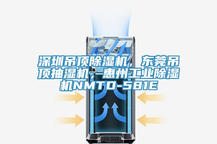 深圳吊顶除湿机，东莞吊顶抽湿机，惠州工业除湿机NMTD-581E