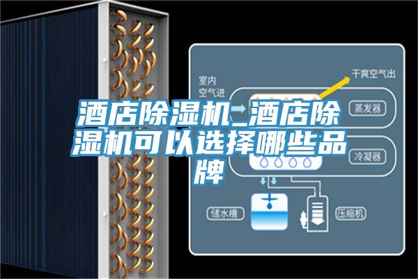 酒店除湿机_酒店除湿机可以选择哪些品牌