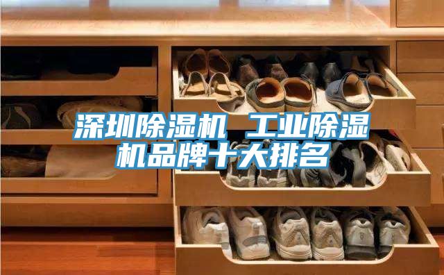 深圳除湿机 工业除湿机品牌十大排名