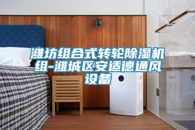 潍坊组合式转轮除湿机组-潍城区安适德通风设备