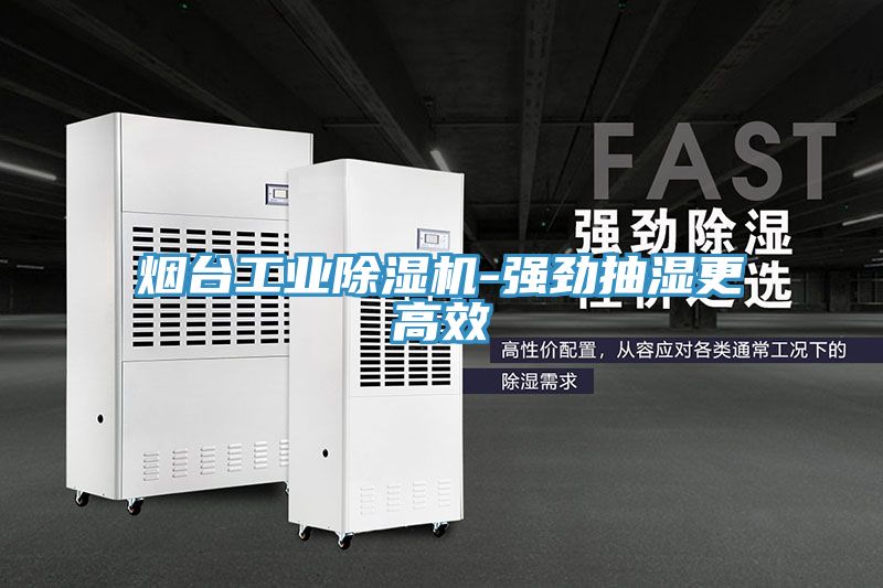 烟台工业除湿机-强劲抽湿更高效