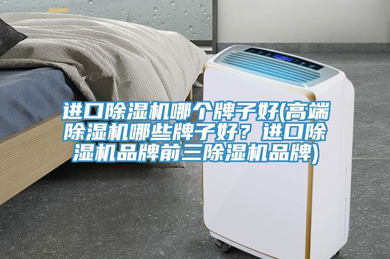 进口除湿机哪个牌子好(高端除湿机哪些牌子好？进口除湿机品牌前三除湿机品牌)