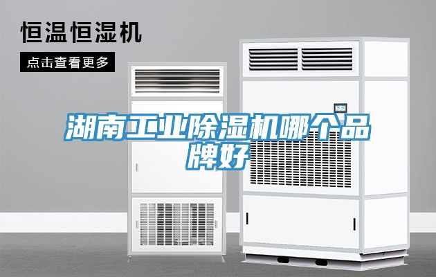 湖南工业除湿机哪个品牌好