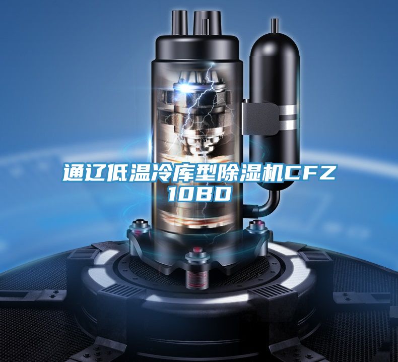 通辽低温冷库型除湿机CFZ10BD