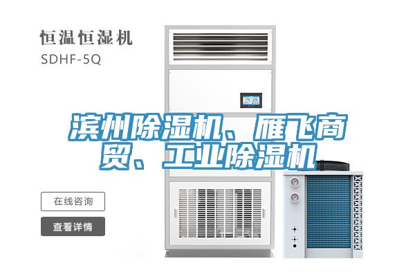 滨州除湿机、雁飞商贸、工业除湿机