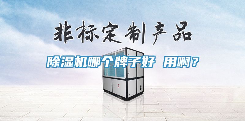 除湿机哪个牌子好 用啊？