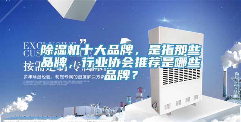 除湿机十大品牌，是指那些品牌，行业协会推荐是哪些品牌？