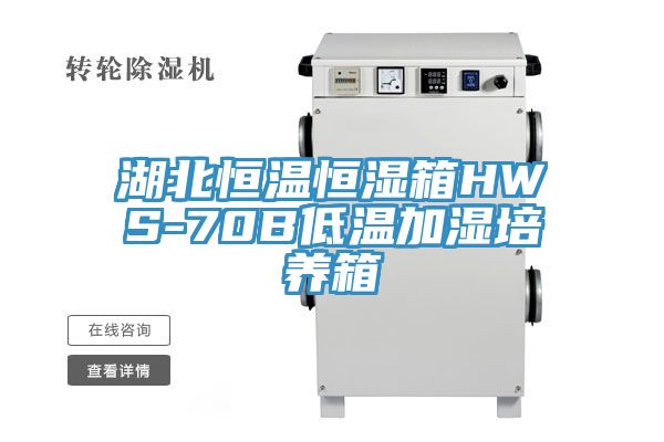 湖北恒温恒湿箱HWS-70B低温加湿培养箱