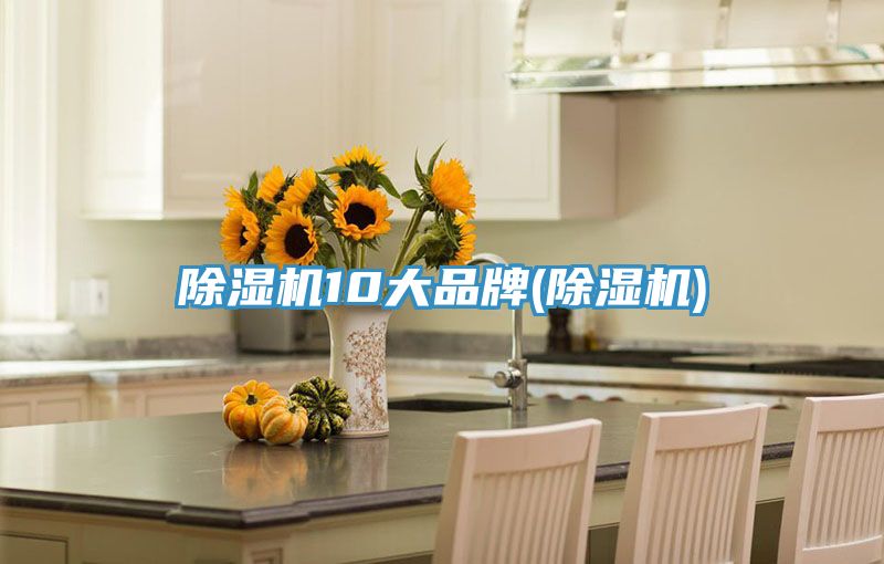 除湿机10大品牌(除湿机)