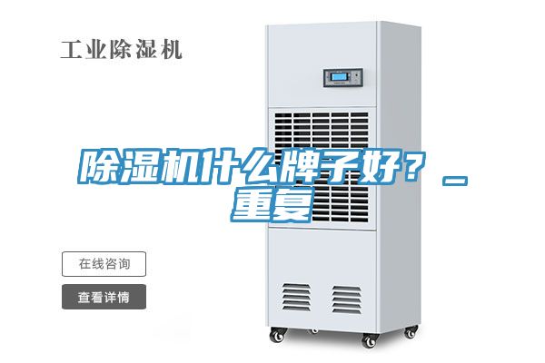 除湿机什么牌子好？_重复