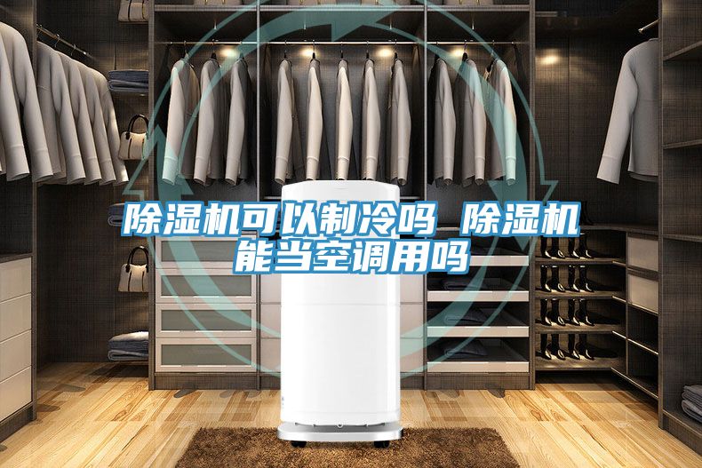 除湿机可以制冷吗 除湿机能当空调用吗