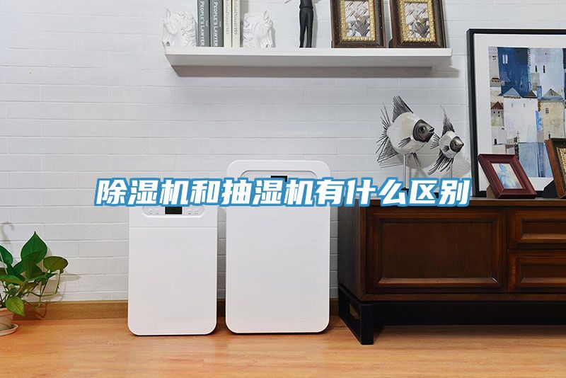 除湿机和抽湿机有什么区别