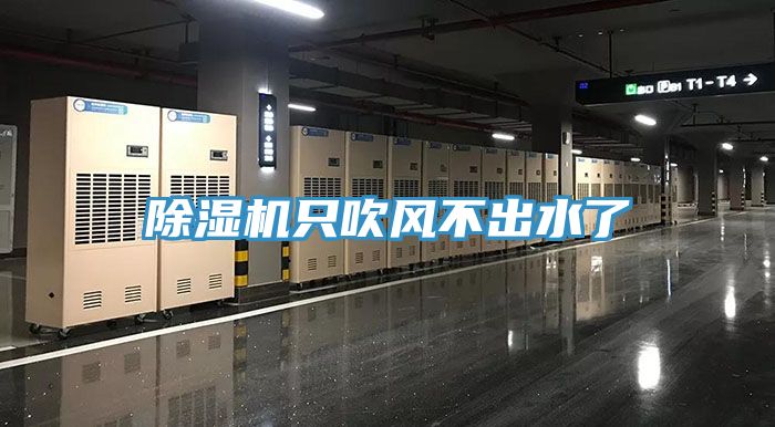 除湿机只吹风不出水了