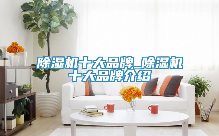 除湿机十大品牌_除湿机十大品牌介绍