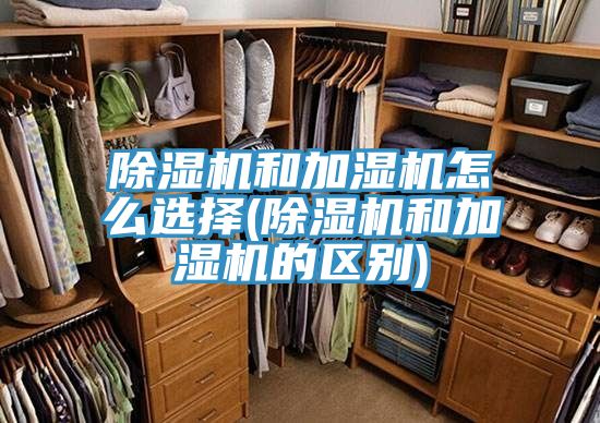 除湿机和加湿机怎么选择(除湿机和加湿机的区别)