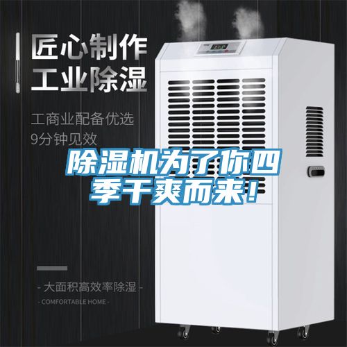 除湿机为了你四季干爽而来！