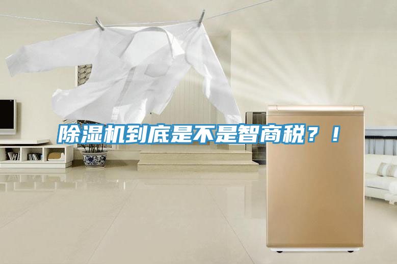 除湿机到底是不是智商税？！