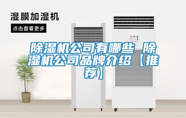 除湿机公司有哪些 除湿机公司品牌介绍【推荐】