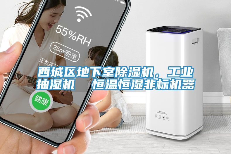 西城区地下室除湿机，工业抽湿机  恒温恒湿非标机器