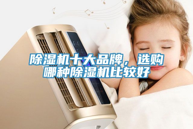 除湿机十大品牌，选购哪种除湿机比较好