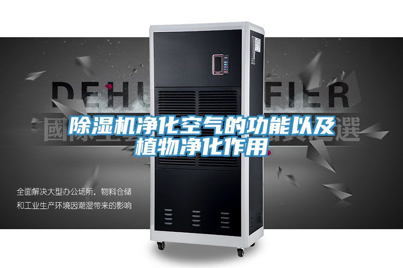 除湿机净化空气的功能以及植物净化作用