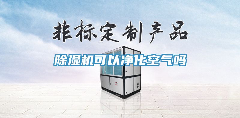 除湿机可以净化空气吗