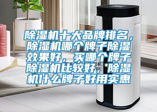 除湿机十大品牌排名，除湿机哪个牌子除湿效果好，买哪个牌子除湿机比较好，除湿机什么牌子好用实惠