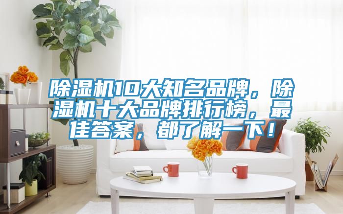 除湿机10大知名品牌，除湿机十大品牌排行榜，最佳答案，都了解一下！
