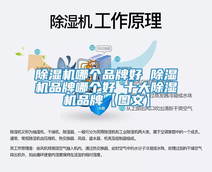 除湿机哪个品牌好 除湿机品牌哪个好 十大除湿机品牌【图文】
