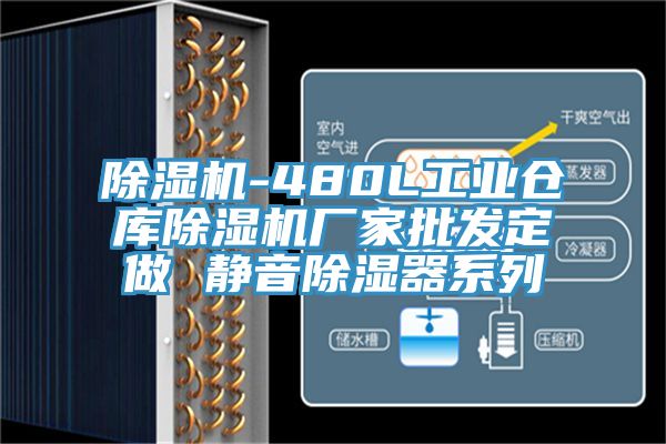 除湿机-480L工业仓库除湿机厂家批发定做 静音除湿器系列