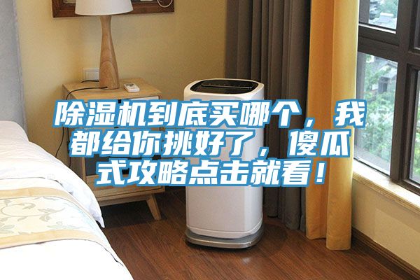 除湿机到底买哪个，我都给你挑好了，傻瓜式攻略点击就看！